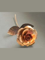 Copper Rose