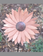 Copper Sunflower