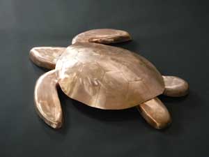 Copper Turtle